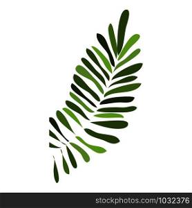 Tropical leaf icon. Cartoon of tropical leaf vector icon for web design isolated on white background. Tropical leaf icon, cartoon style