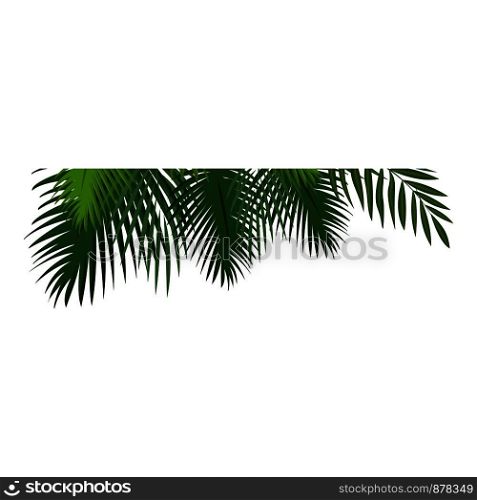 Tropical leaf icon. Cartoon of tropical leaf vector icon for web design isolated on white background. Tropical leaf icon, cartoon style