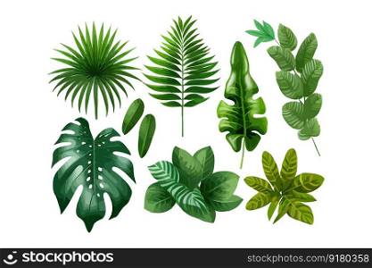 Tropical leaf set. Vector illustration desing.
