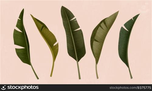 Tropical leafs on pink background in 3d illustration. Leafs on pink background