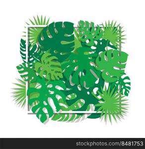tropical leafs template background vector illustration