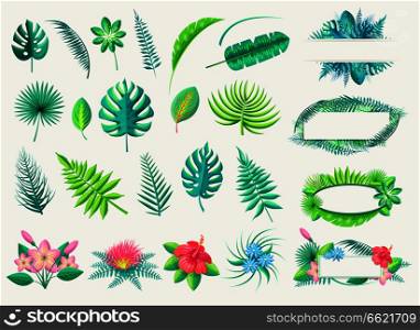 Tropical leaves and exotic flowers vector collection on white and empty line space for writing in plant or blossom frames. Tropical Leaves and Exotic Flowers Set on White
