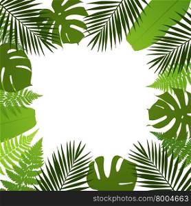 Tropical leaves background. Frame with palm,fern,monstera and banana leaves. Vector illustration