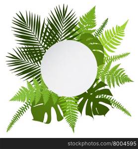 Tropical leaves background with white round banner. Palm,ferns,monsteras. Vector illustration