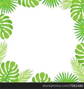 Tropical leaves border isolated green leaves of palm and monstera. Vector botanical frame of exotic plants, spare place for text, stylish botanical foliage. Tropical Leaves Border Isolated Green Palm Leaves