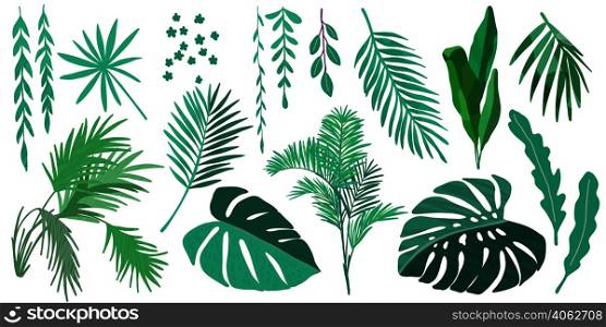Tropical leaves collection, hand drawn vector set of illustrations