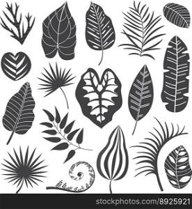 Tropical leaves collection set vector image