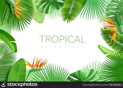 Tropical leaves frame. Realistic summer exotic plants, hawaiian palm background, monstera, banana and cocoa greenery tropic banner vector poster. Tropical leaves frame. Realistic summer exotic plants, hawaiian palm background, monstera, banana and cocoa greenery banner. Vector poster