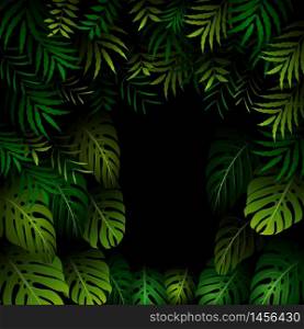 Tropical leaves on a black background