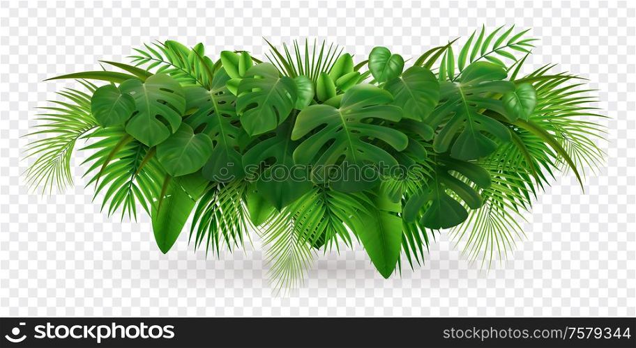 Tropical leaves palm branch realistic composition with image of green leaf pile isolated on transparent background vector illustration
