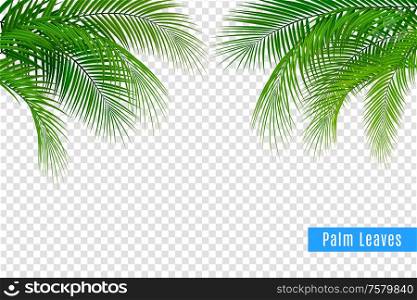 Tropical leaves palm branch realistic frame composition with transparent background and clusters of leaves with text vector illustration