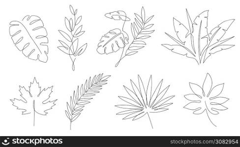Tropical leaves. Palm tree and maple linear leaf. Tropic jungle and beach floral abstract elements continuous line exotic plant vector set. Summer leaf palm, jungle foliage and tropical illustration. Tropical leaves. Palm tree and maple linear leaf. Tropic jungle and beach floral abstract elements continuous line exotic plant vector set