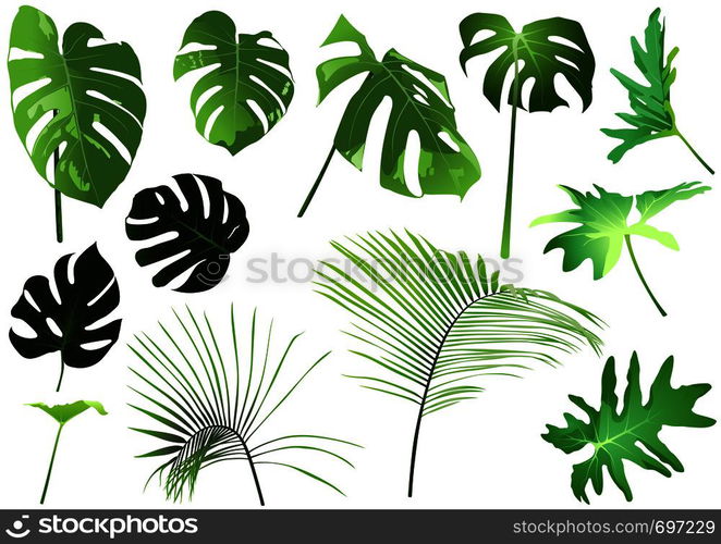 Tropical Leaves Set