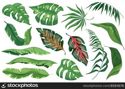 Tropical leaves set graphic elements in flat design. Bundle of different type exotic plants, leaf of banana, palms, monstera and other green jungle foliage. Vector illustration isolated objects