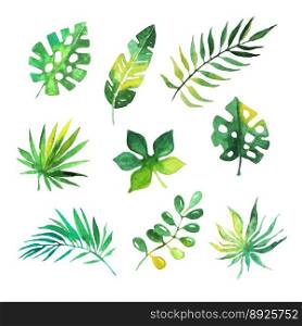 Tropical leaves set jungle trees botanical vector image