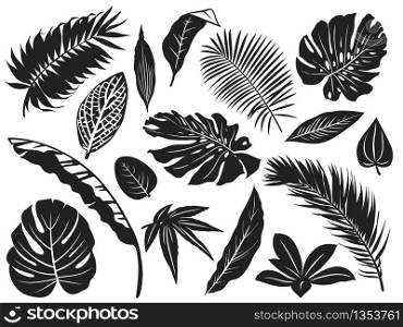 Tropical leaves silhouette. Palm tree leaf, coconut trees and monstera leafs black silhouettes vector illustration set. Monochrome silhouette black tropical jungle greenery. Tropical leaves silhouette. Palm tree leaf, coconut trees and monstera leafs black silhouettes vector illustration set