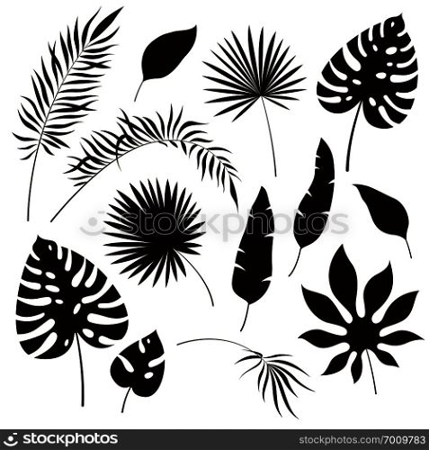 Tropical leaves silhouettes. Black jungle exotic leaf philodendron palm royal fern banana. Summer tropical botanical vector. Tropical leaves silhouettes. Black jungle exotic leaf philodendron palm royal fern banana. Summer tropical illustration