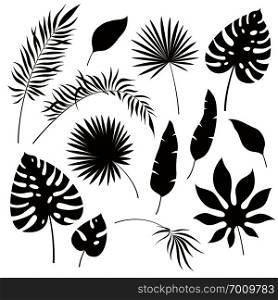 Tropical leaves silhouettes. Black jungle exotic leaf philodendron palm royal fern banana. Summer tropical botanical vector. Tropical leaves silhouettes. Black jungle exotic leaf philodendron palm royal fern banana. Summer tropical illustration