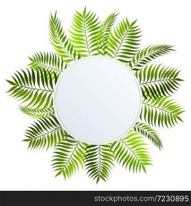 Tropical Leaves. tropical background with exotic palm leaves and plants