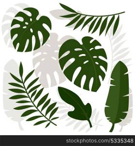 Tropical leaves. Vector illustration. Eps 10