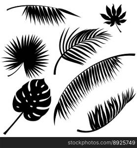 Tropical leaves vector image