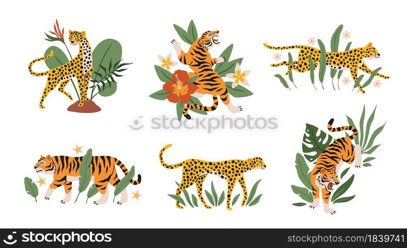 Tropical leaves with tigers, leopards and jaguars. Beautiful mini compositions with wild animals and exotic plants and flowers decor elements. Safari and zoo mammals vector modern cartoon isolated set. Tropical leaves with tigers, leopards and jaguars. Beautiful mini compositions with wild animals and exotic plants and flowers decor elements. Safari and zoo mammals vector isolated set