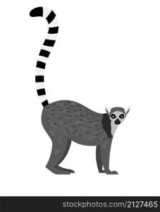 Tropical lemur. Cartoon funny monkey, slothful cute animal, vector illustration of lazy furry exotic character of madagaskar isolated on white background. Tropical lemur icon