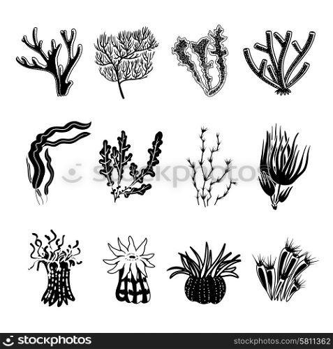 Tropical ocean coral black decorative icons set isolated vector illustration. Coral Black Set