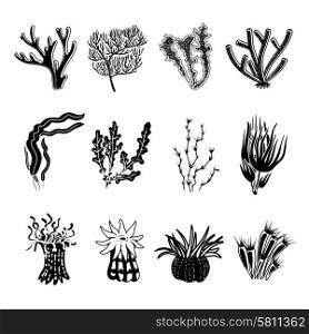 Tropical ocean coral black decorative icons set isolated vector illustration. Coral Black Set