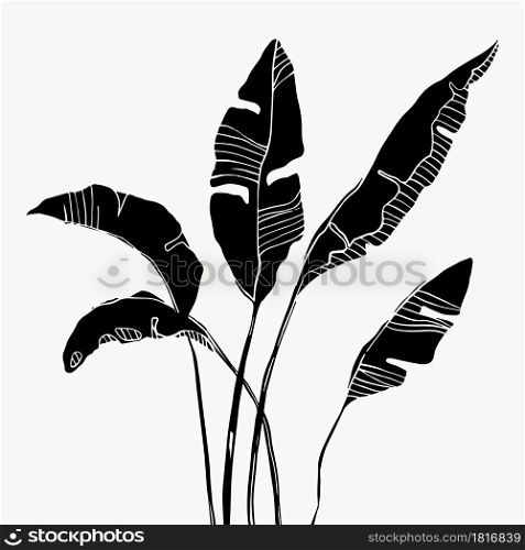 Tropical palm banana leaves. beautiful hand drawn exotic plants on white background. vector design.