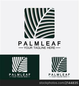 Tropical Palm leaf logo vector design template