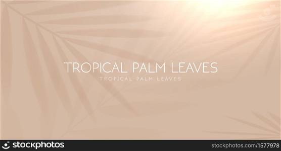 Tropical palm leaf shadow on light pastel background. vector.