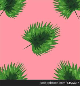 Tropical palm leaves, monstera, jungle leaf seamless floral summer pattern background