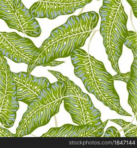 Tropical palm leaves seamless pattern isolated on white background. Jungle leaves botanical wallpaper. Foliage backdrop. Design for fabric , textile print, wrapping, cover. vector illustration.. Tropical palm leaves seamless pattern. Jungle leaves botanical wallpaper.