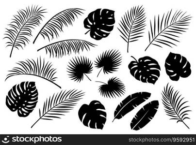 Tropical palm leaves set vector image