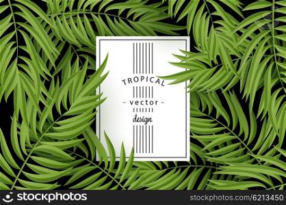 Tropical Palm leaves. Vector seamless. Tropical Palm leaves. Tropic palm. Tropical Palm leaf. Green tropic palm. Green palm summer tropical leaves. Tropic leaves frame. Green summer tropic palm leaves. Square frame.