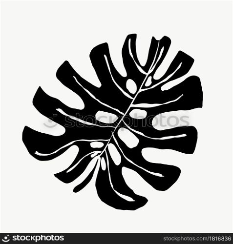 Tropical palm monstera leaves. beautiful hand drawn exotic plants on white background. vector design.