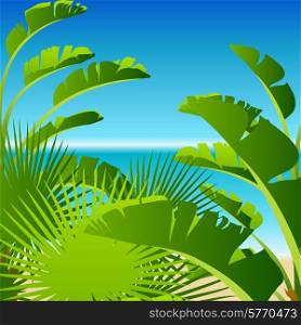 Tropical palm on sea background.