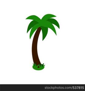 Tropical palm tree icon in isometric 3d style isolated on white background. Tropical palm tree icon, isometric 3d style