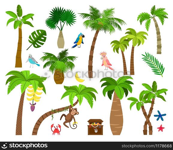 Tropical palm trees. Brazil nature elements like different palm leaves, parrot and monkey vector illustration isolated on white background. Brazil nature elements
