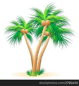 Tropical palm trees illustration on a white background