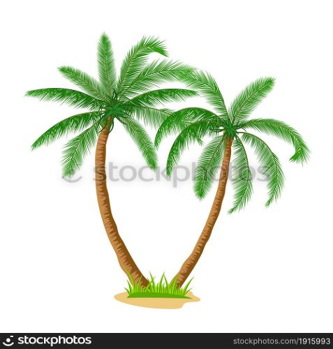 Tropical palm trees isolated on white background. Coconut trees. Vector illustration in flat style. A palm tree