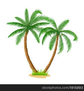 Tropical palm trees isolated on white background. Coconut trees. Vector illustration in flat style. A palm tree