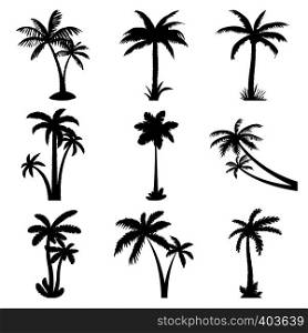 Tropical palm trees set with leaves, mature and young plants. Tropical palm trees set