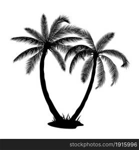 Tropical palm trees silhouettes isolated on white background. Coconut trees. Vector illustration in flat style. A palm tree silhouettes