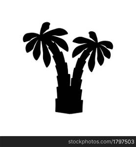 tropical palm trees with leaves, mature and young plants, black silhouettes isolated on white background. Set tropical palm trees with leaves, mature and young plants, black silhouettes isolated on white background