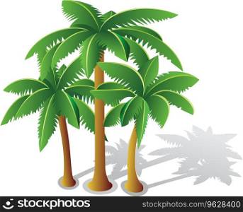 Tropical palms Royalty Free Vector Image