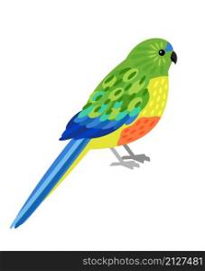 Tropical parrot. Cartoon beautiful flying australian character, bird with beautiful colorful feathers, vector illustration of orange bellied parrot isolated on white background. Tropical parrot character