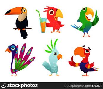 Tropical parrots characters. Feathered exotic macaw birds pets colored wings funny exotic flying arara action poses vector pictures. Animal bird character various colored illustration. Tropical parrots characters. Feathered exotic macaw birds pets colored wings funny exotic flying arara action poses vector pictures