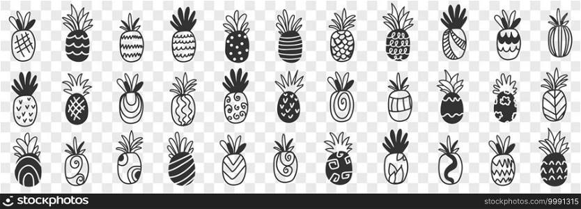 Tropical pineapple fruits doodle set. Collection of hand drawn fresh ripe exotic fries pineapples tasty delicious sweet for diet clean eating weight loss food isolated on transparent background. Tropical pineapple fruits doodle set
